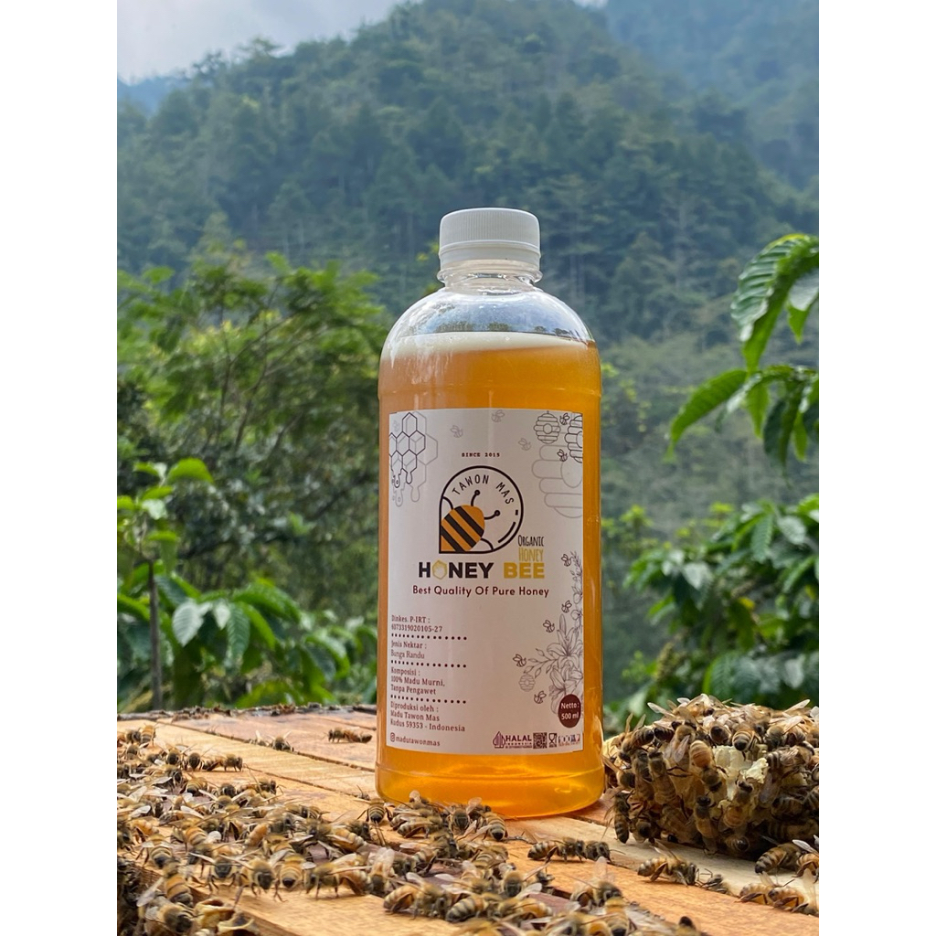 

Madu Tawon Mas Asli Nektar Randu 500ml/700gram Grade A 100% Alami Pure Natural Raw Honey