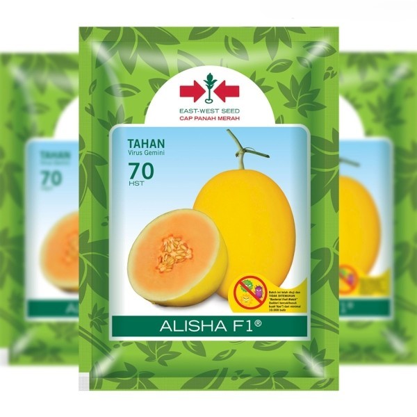 Benih Melon Golden Alisha 10 Biji Original