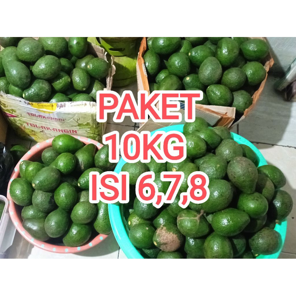 

PAKET HEMAT ALPUKAT 10KG ISI 6,7,8