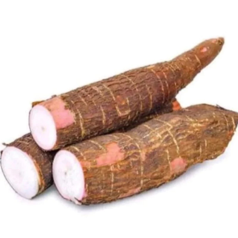 

1kg Ubi Singkong Fresh untuk anti kangker dan menurunkan darah ringgi