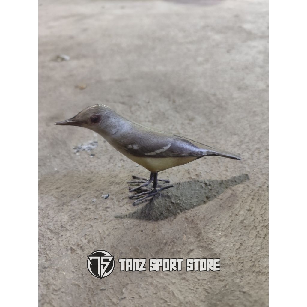 Jontrot patung burung ciblek semi / boneka manuk cisem