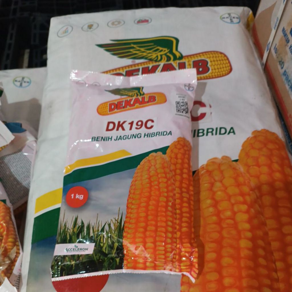 DEKALB DK19C JAGUNG HIBRIDA BAYER