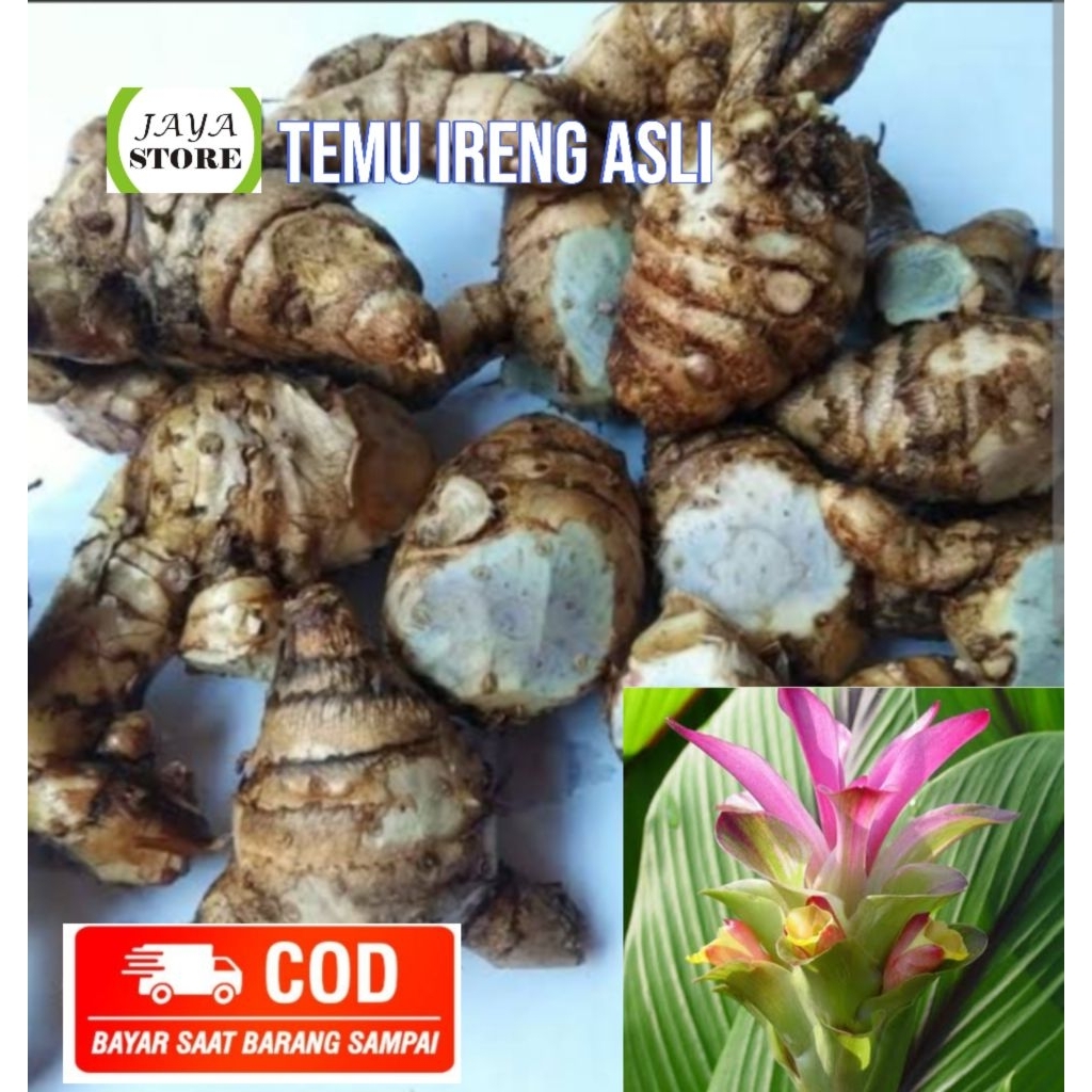 

temu Ireng atou temu hitam asli 1 kg