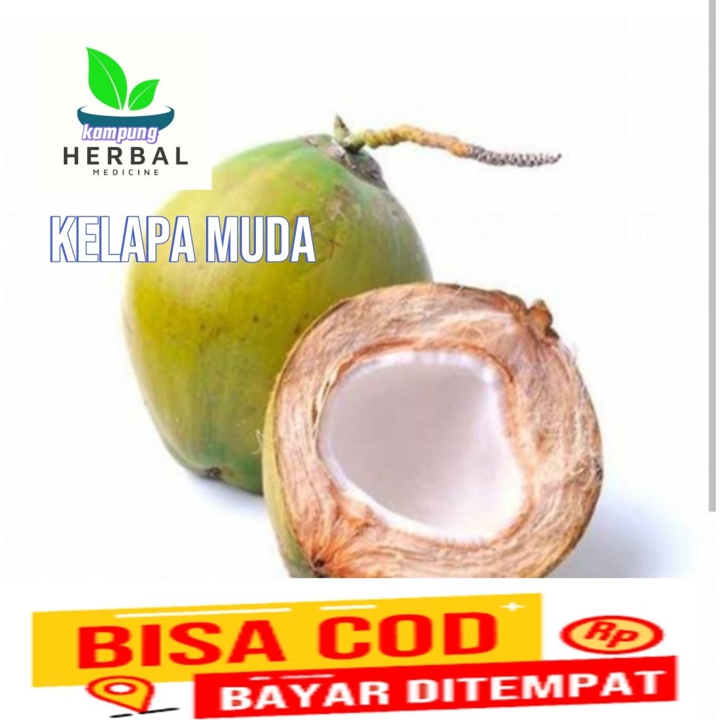 

kelapa hijau /butir segar