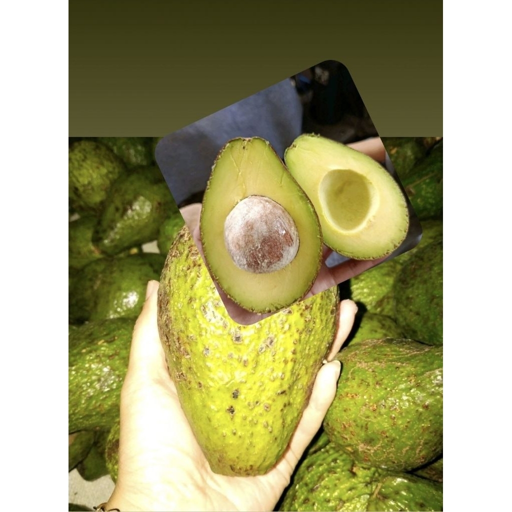 

Alpukat, 1kg isi.,4,,AlpukatMentegaLokalBandungMentahMasih, fresh,bertekstrus/GradakDalemnyaBaguse