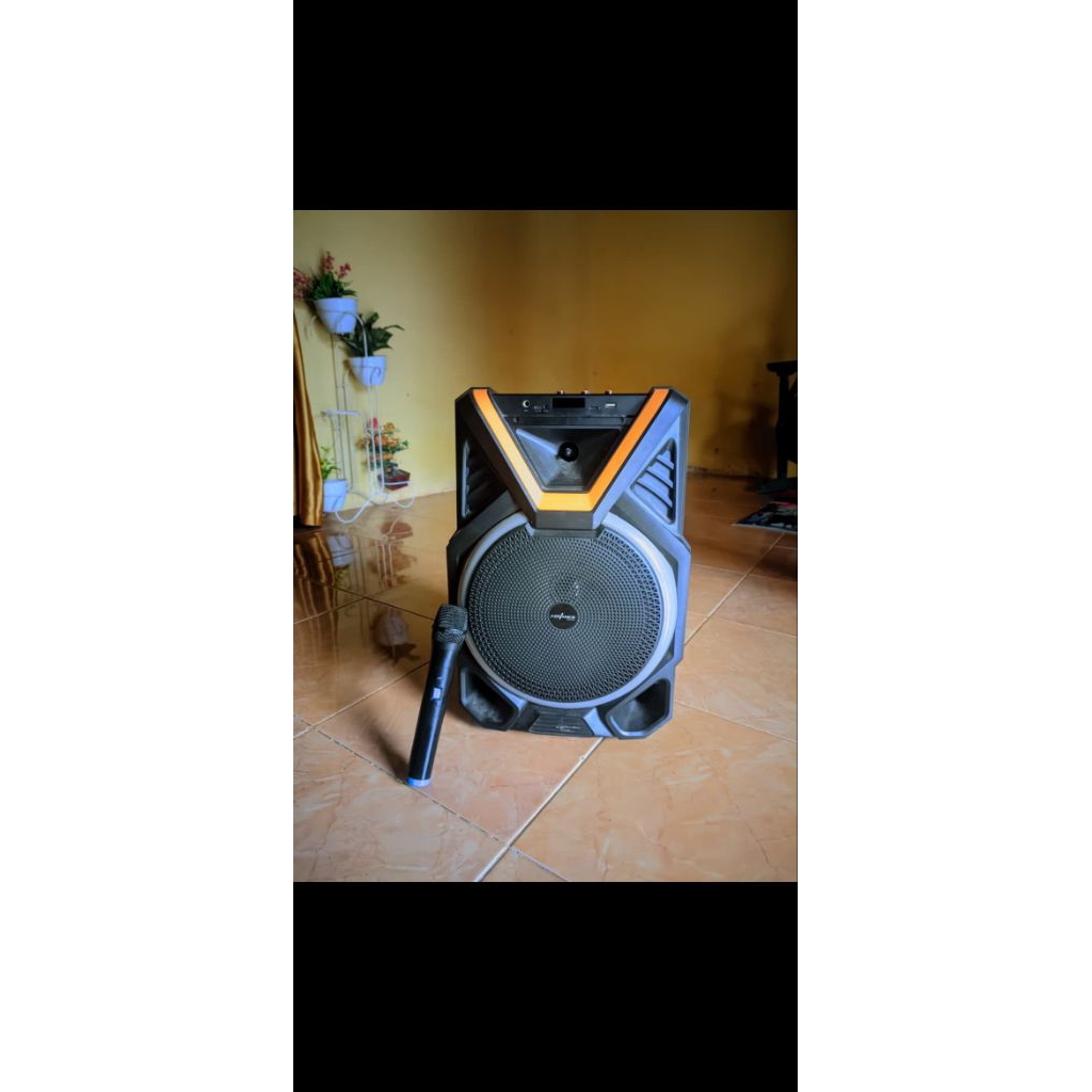 SALON SET MIC