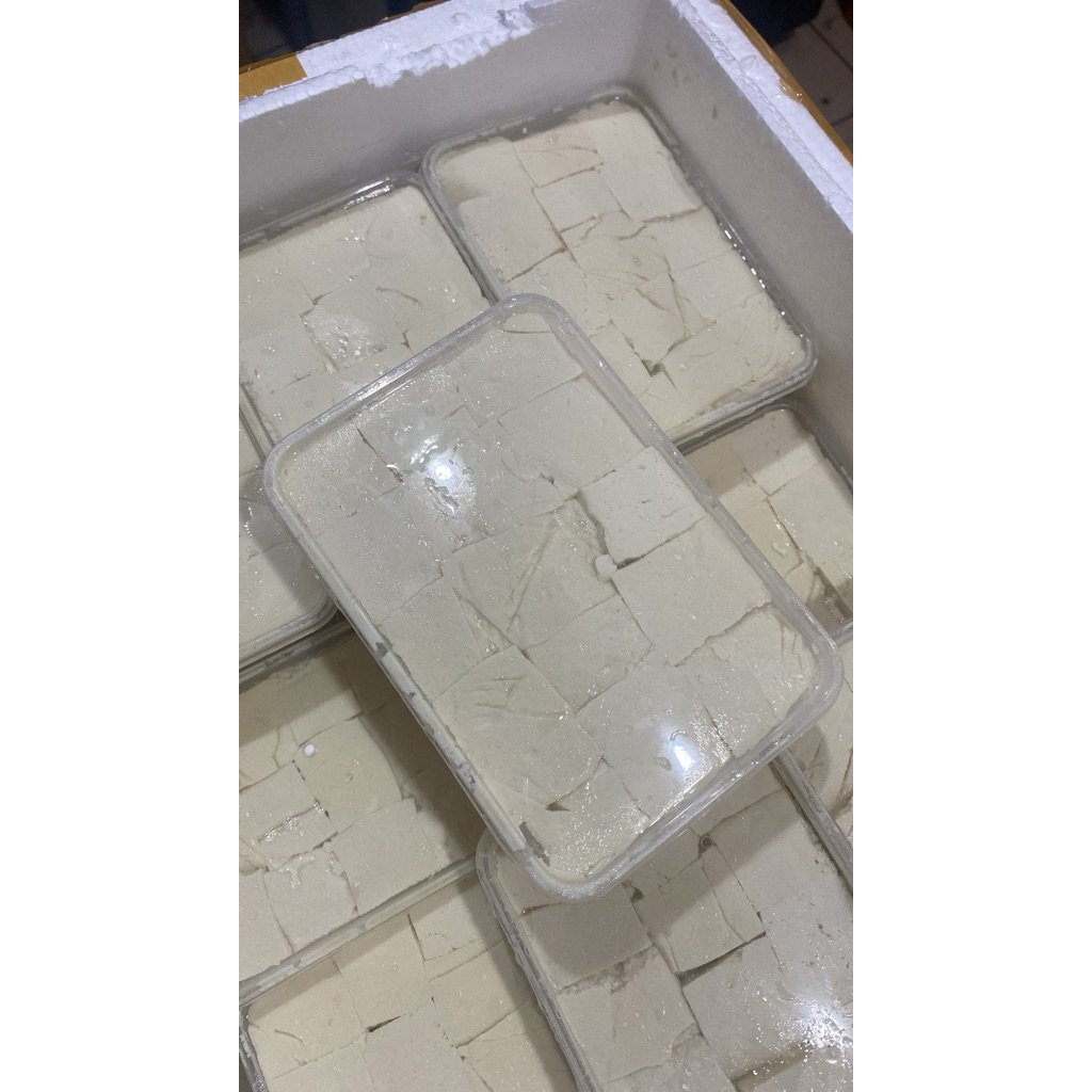 TAHU SUSU LEMBANG BANDUNG TAHU PONG TAHU PUTIH ENAK