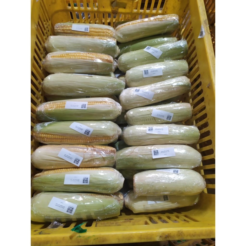 

jagung manis kulit 1pcs