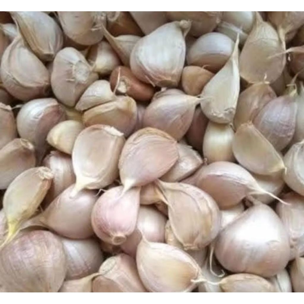 

Bawang kating pecahan