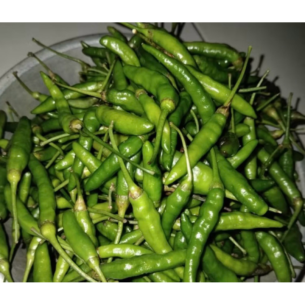 

Cabe Rawit Pedas Hijau 250 gram - 1/4 kg