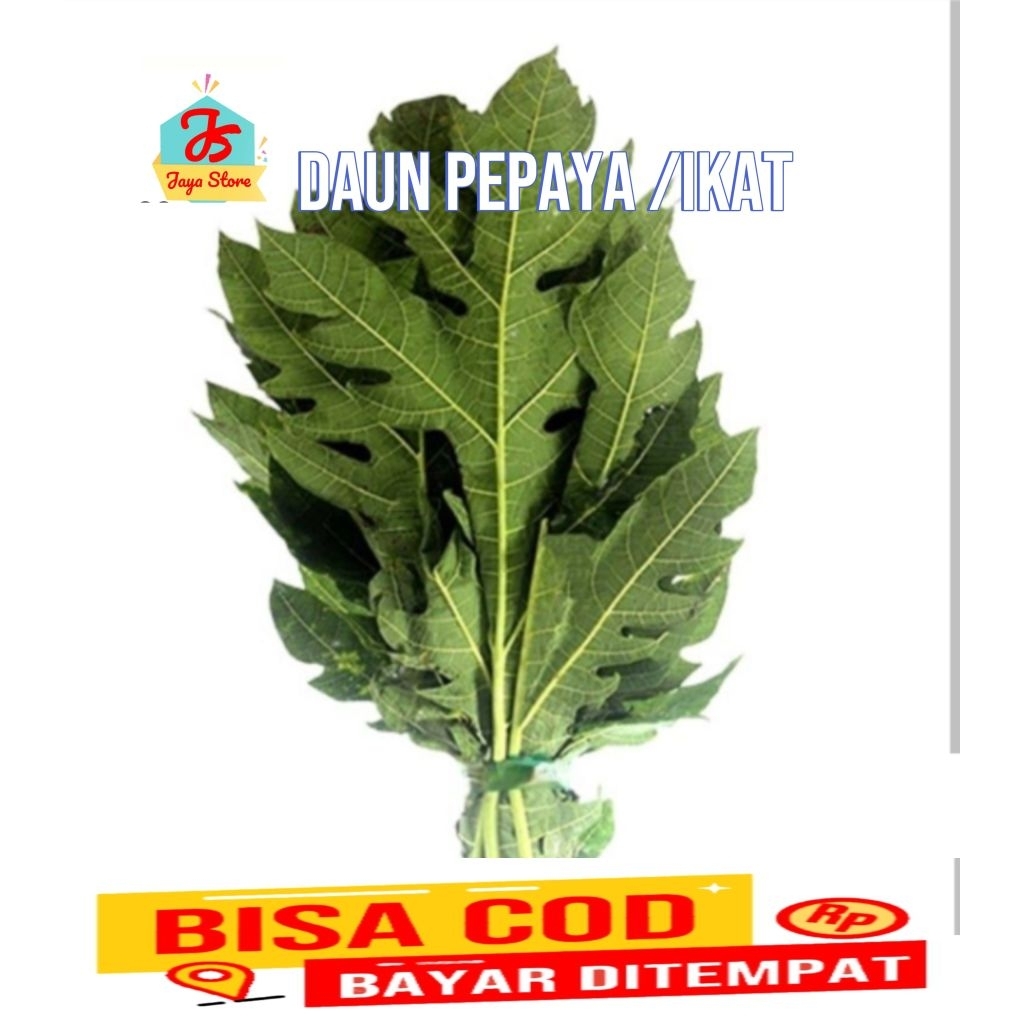 

daun pepaya segar /ikat