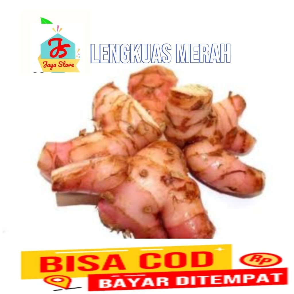 

lengkuas merah bumbu masak 1kg