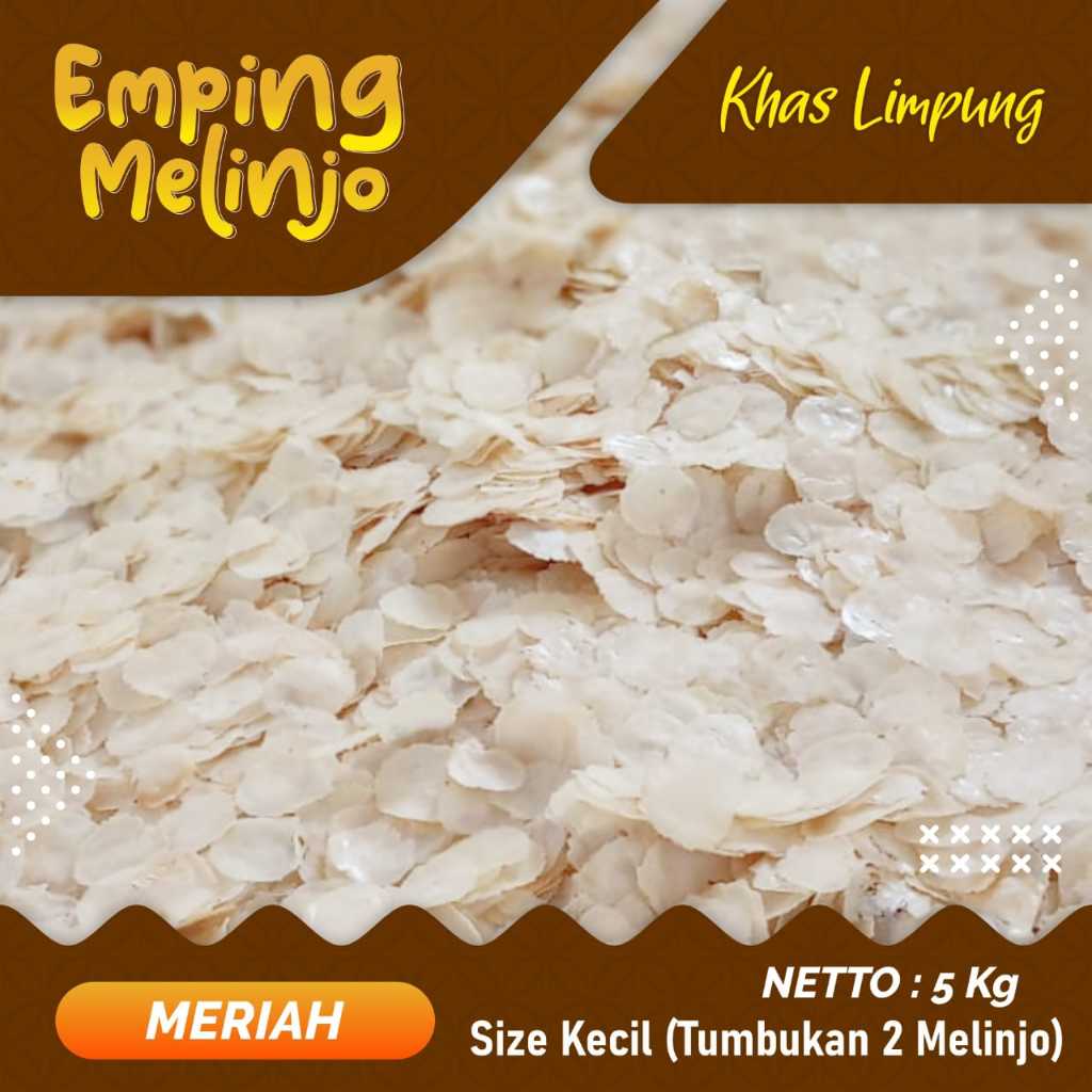 

Emping Melinjo Super Khas Limpung tumbukan 1-2 melinjo ( size kecil ) PAKET 5 KG