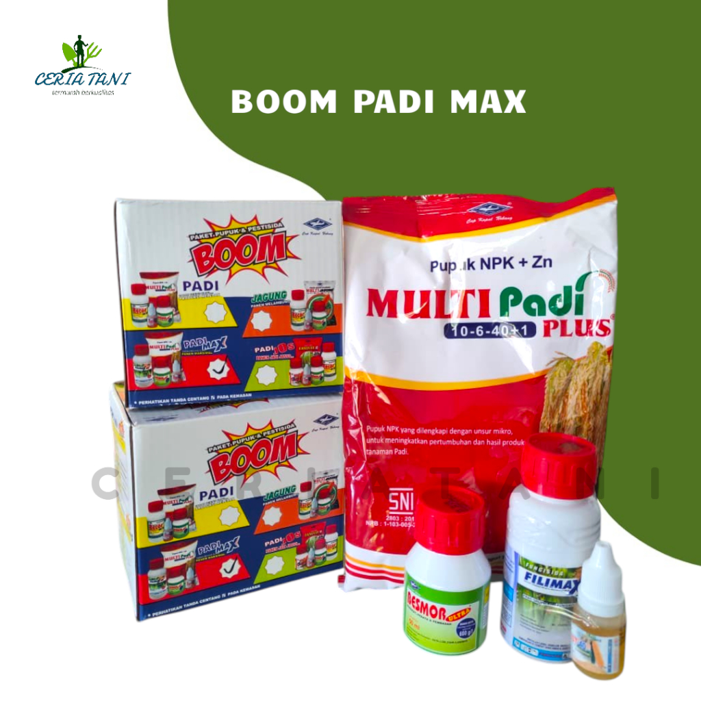 Bom padi Max / Boom Padi Cap Kapal Terbang