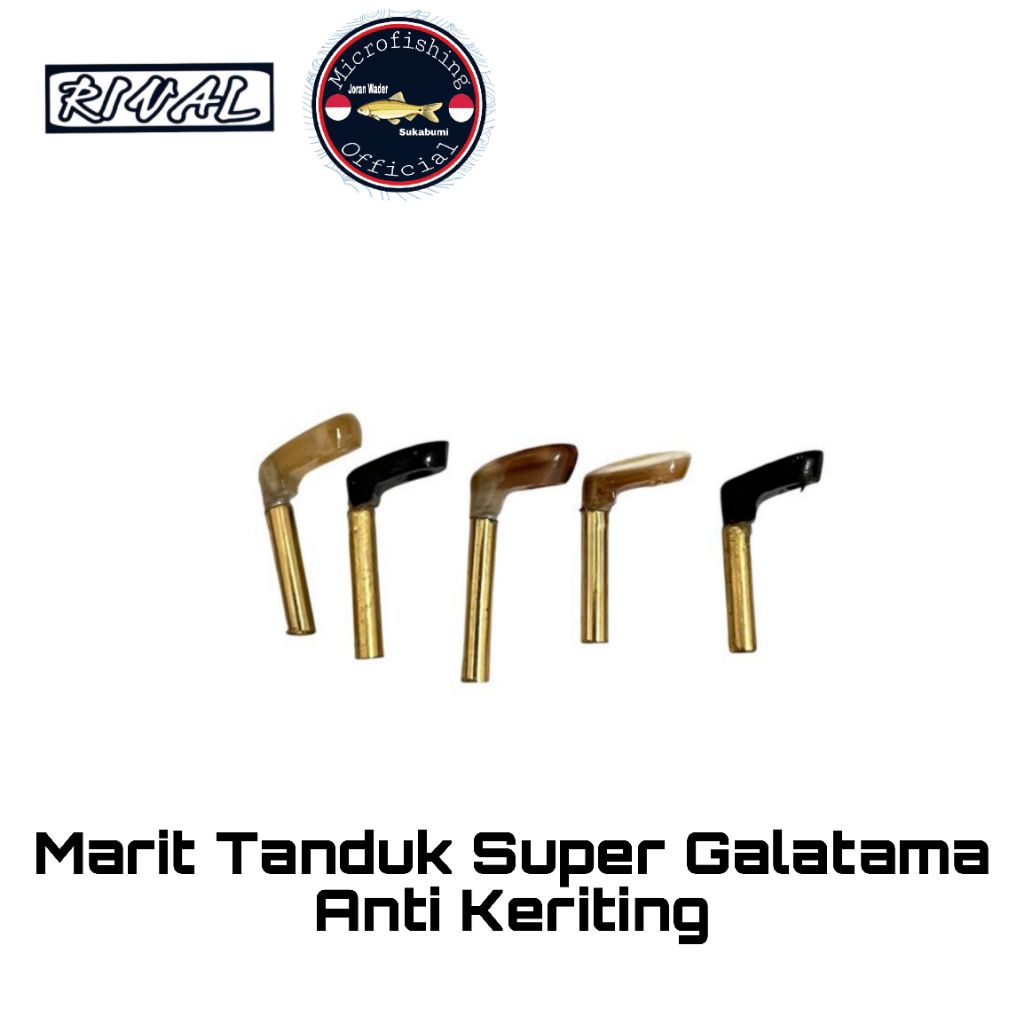 Marit Joran Besutan Tanduk Super Anti Keriting