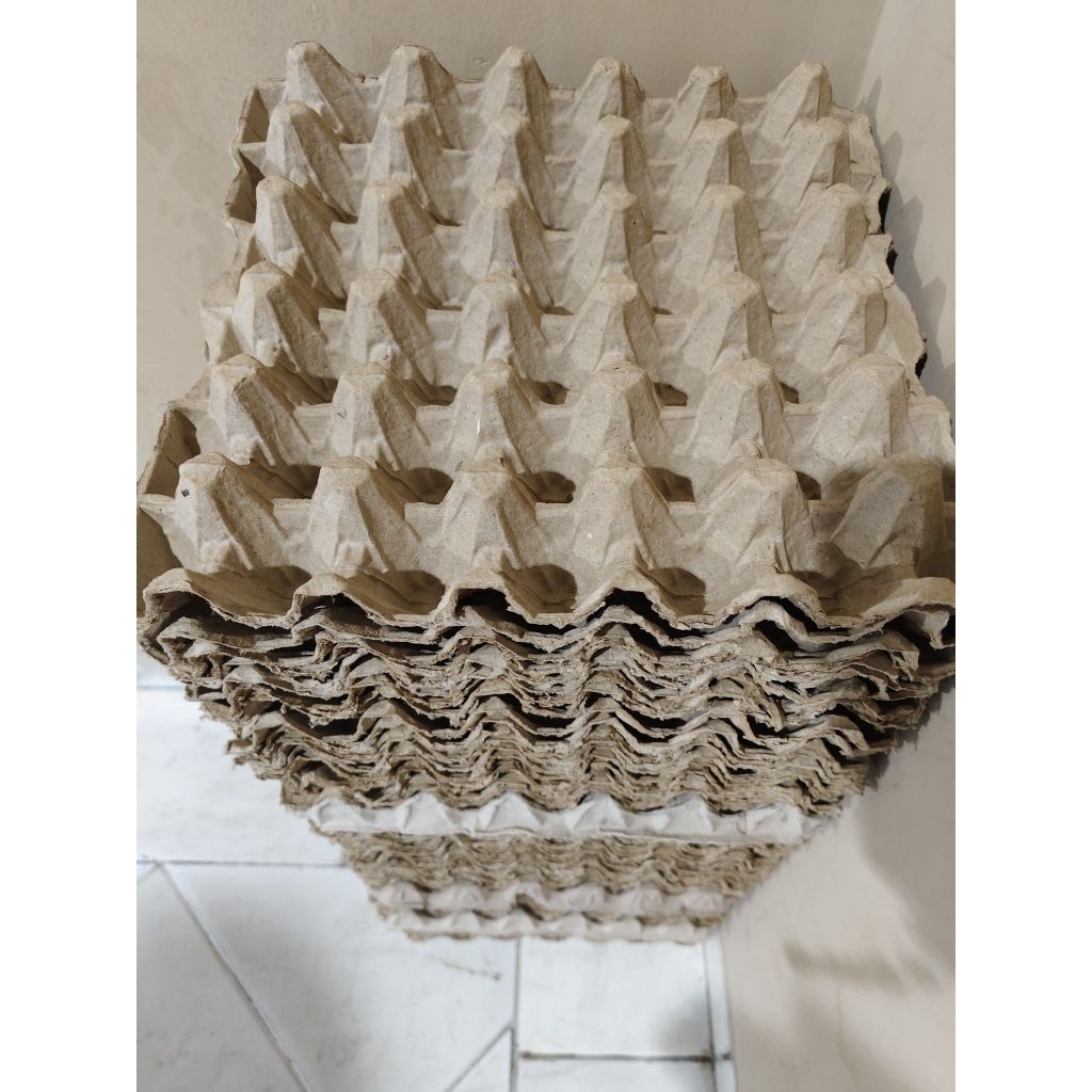 Tray telur bekas / wadah telur kardus / tempat telur kardus bekas sekali pakai