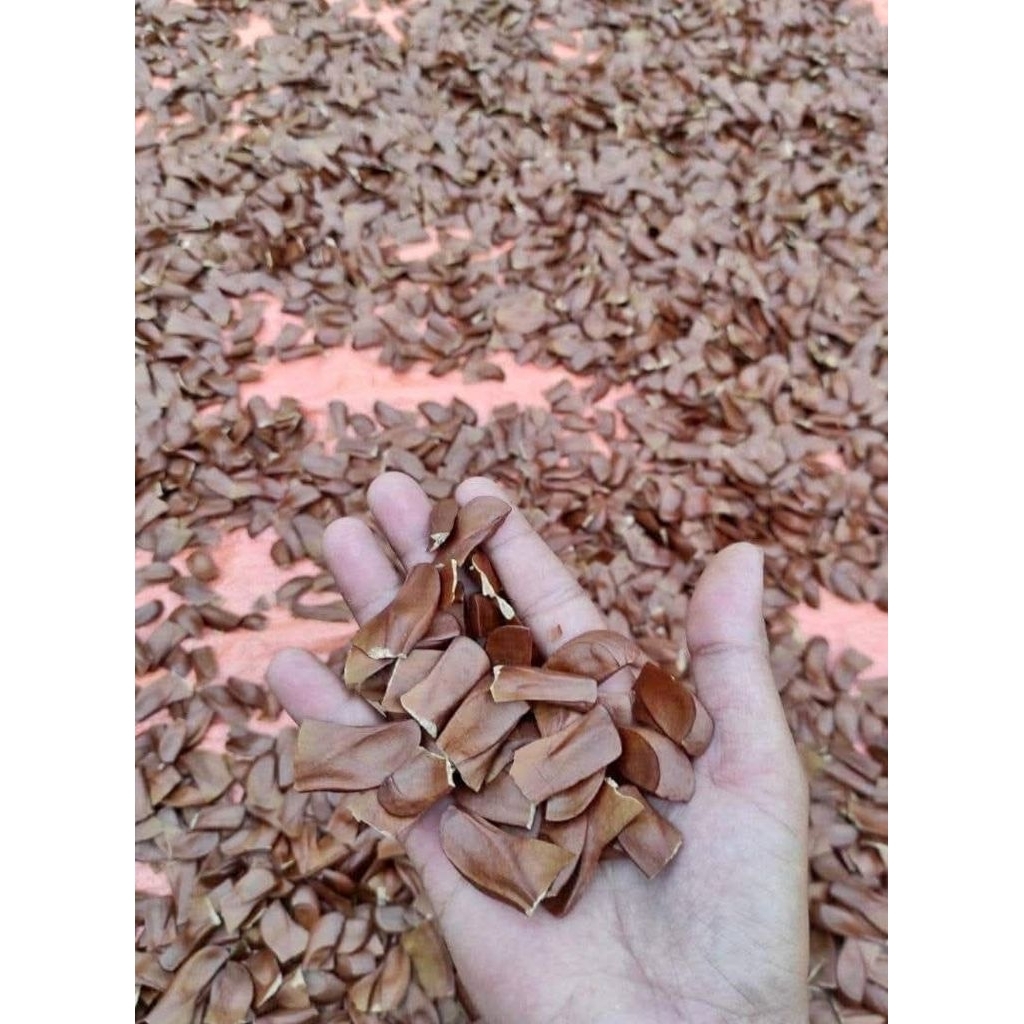 

Biji Buah Mahoni Kering 1 Kg