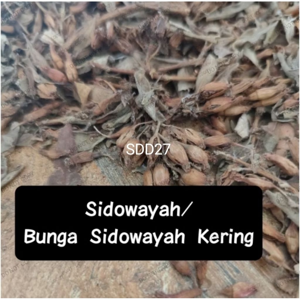 

Sidowayah/Bunga Sidowayah Kering 500gram