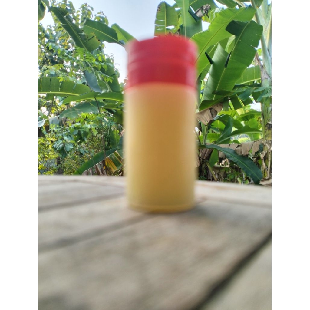 

sample madu klanceng murni asli