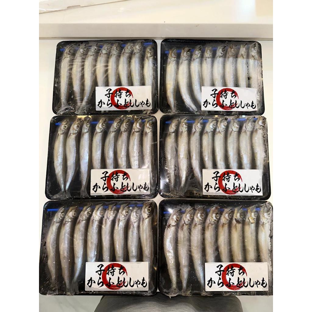 

Shishamo Import Jepang 8pcs/170g