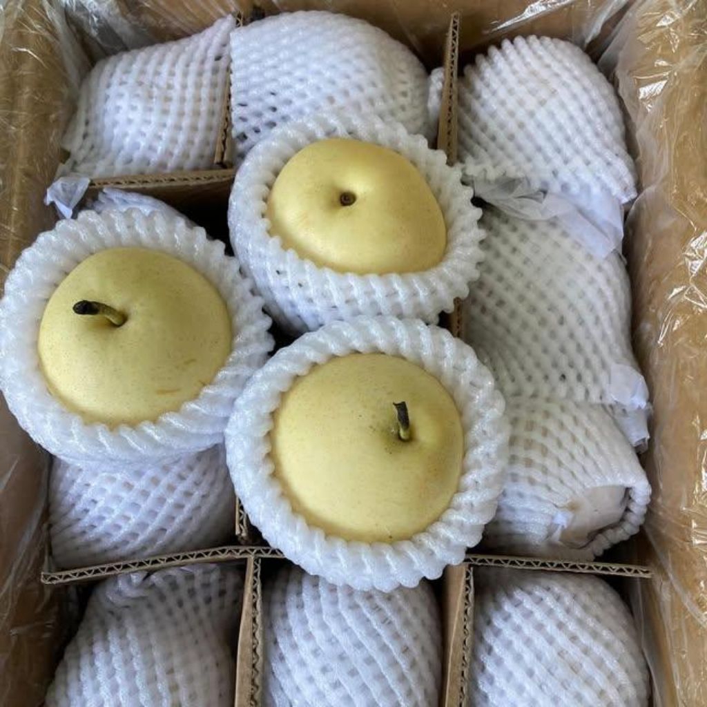 

PEAR MADU CENTURY 1kg