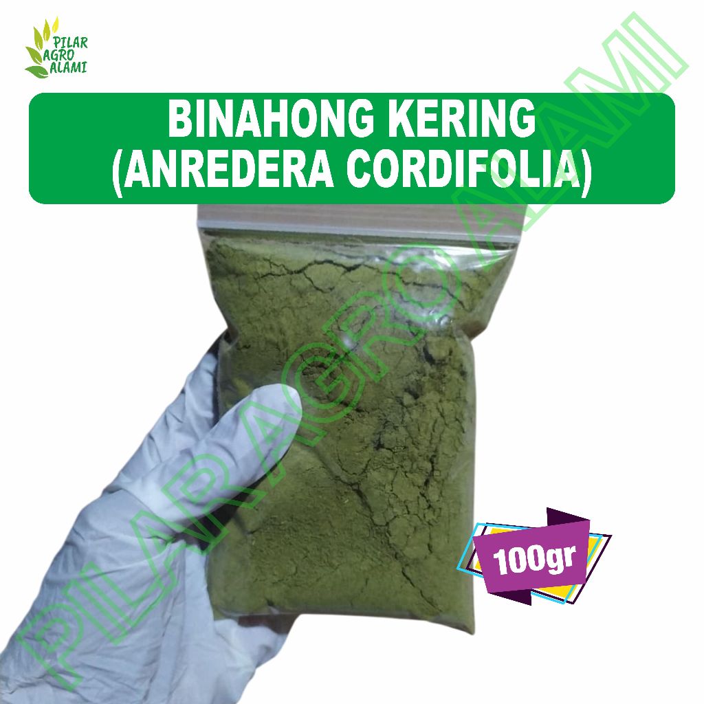 

Bubuk binahong 100gr asli terbuat dari bahan alami