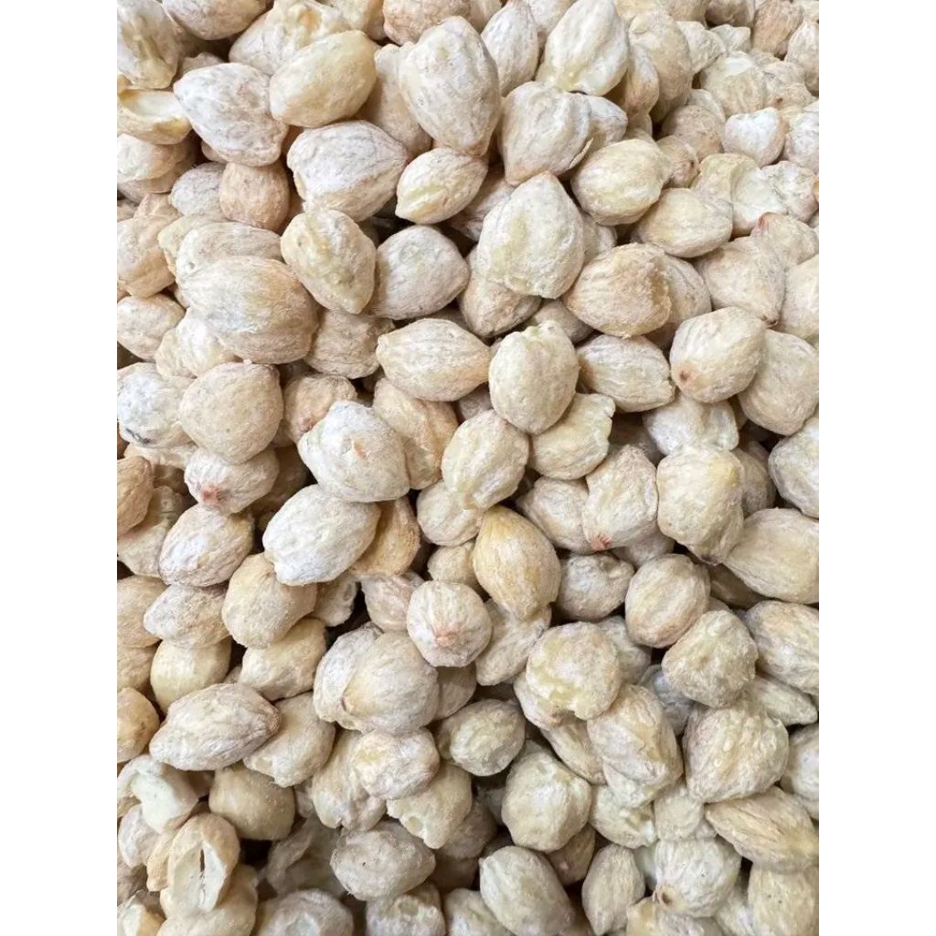 

Kemiri Bulat | 100% original