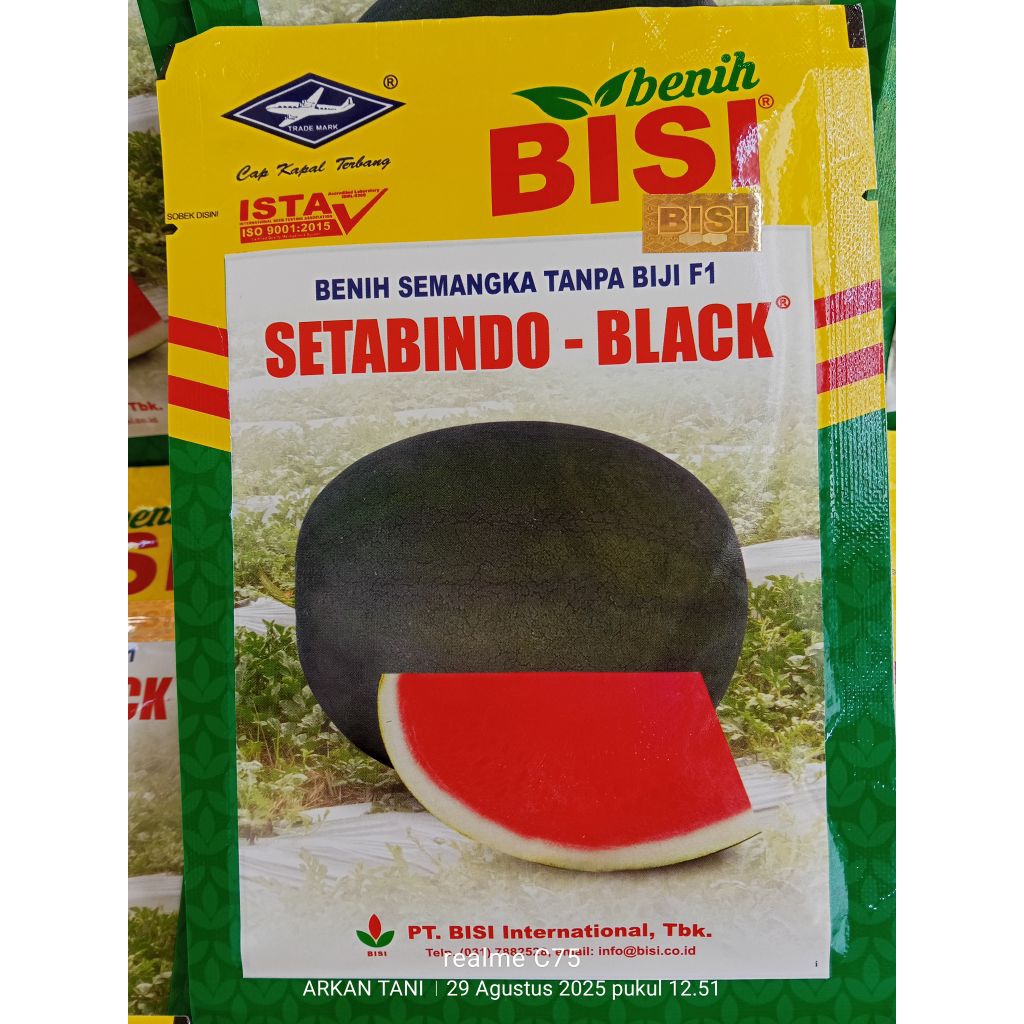 BENIH SEMANGKA TANPA BIJI F1 SETABINDO BLACK 20 GRAM - CAP KAPAL TERBANG