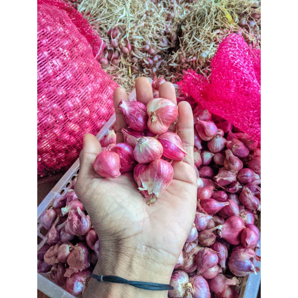 

bawang merah lokal