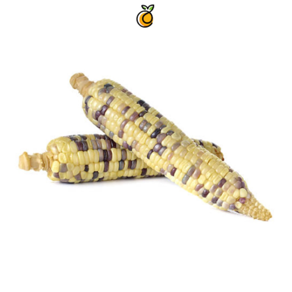 

JAGUNG KETAN 1 kg