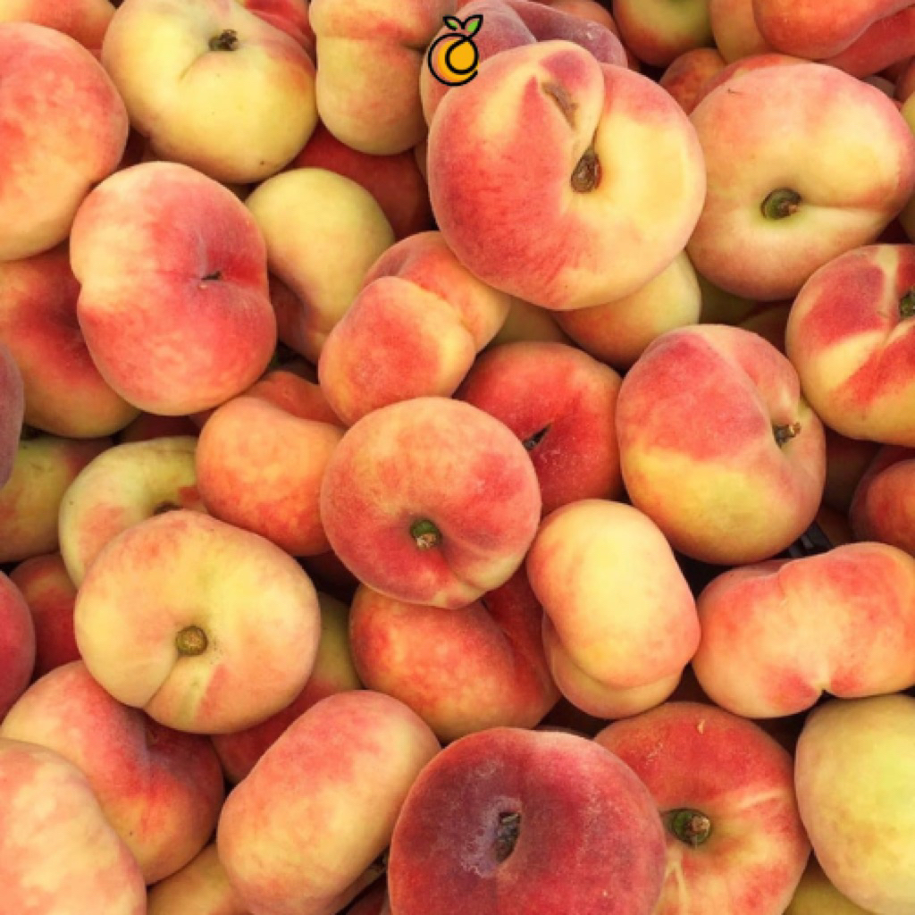 

BUAH PEACH DONUTS CHINA 800 GRAM