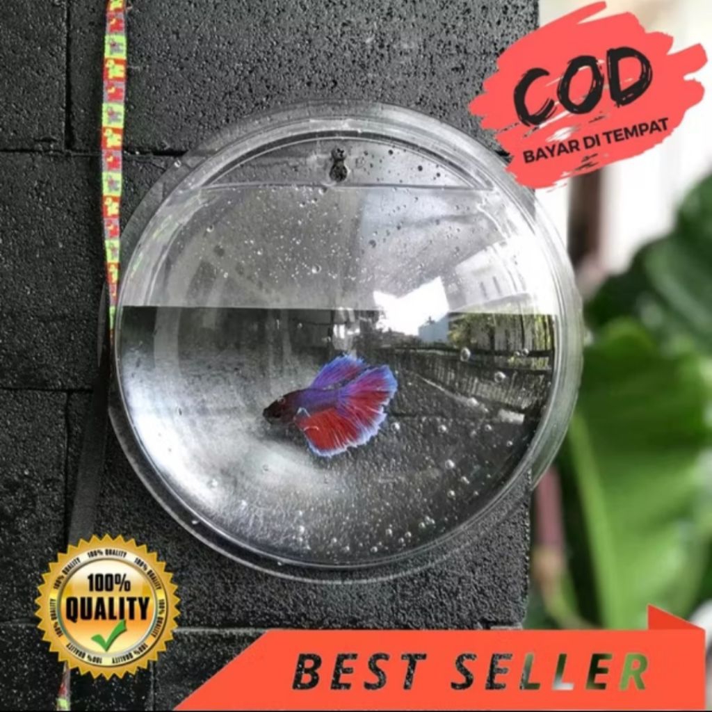 HIASAN DINDING ACRYLIC MINI AQUARIUM / VAS TANAMAN