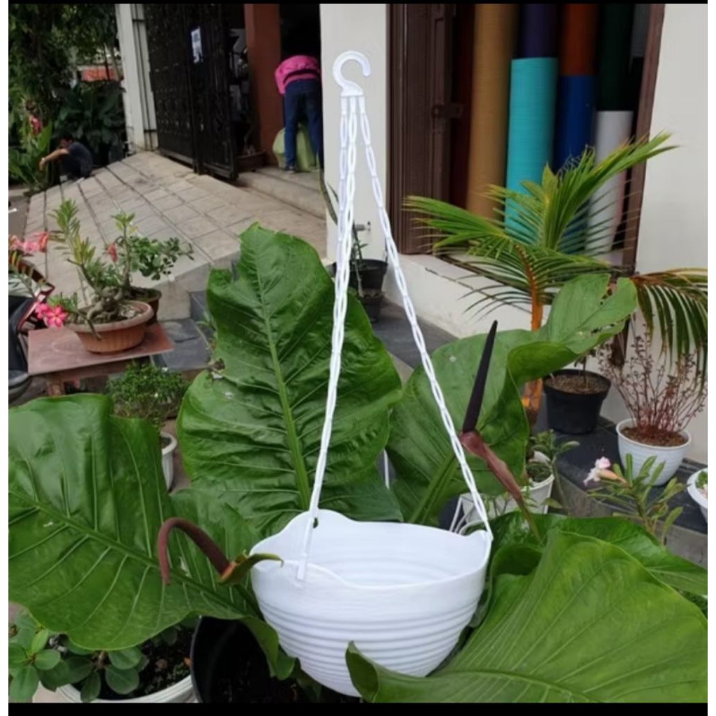 Pot Bunga Tanaman Gantung Putih Besar GGS 8857, Pot Tanaman, Pot Gantung