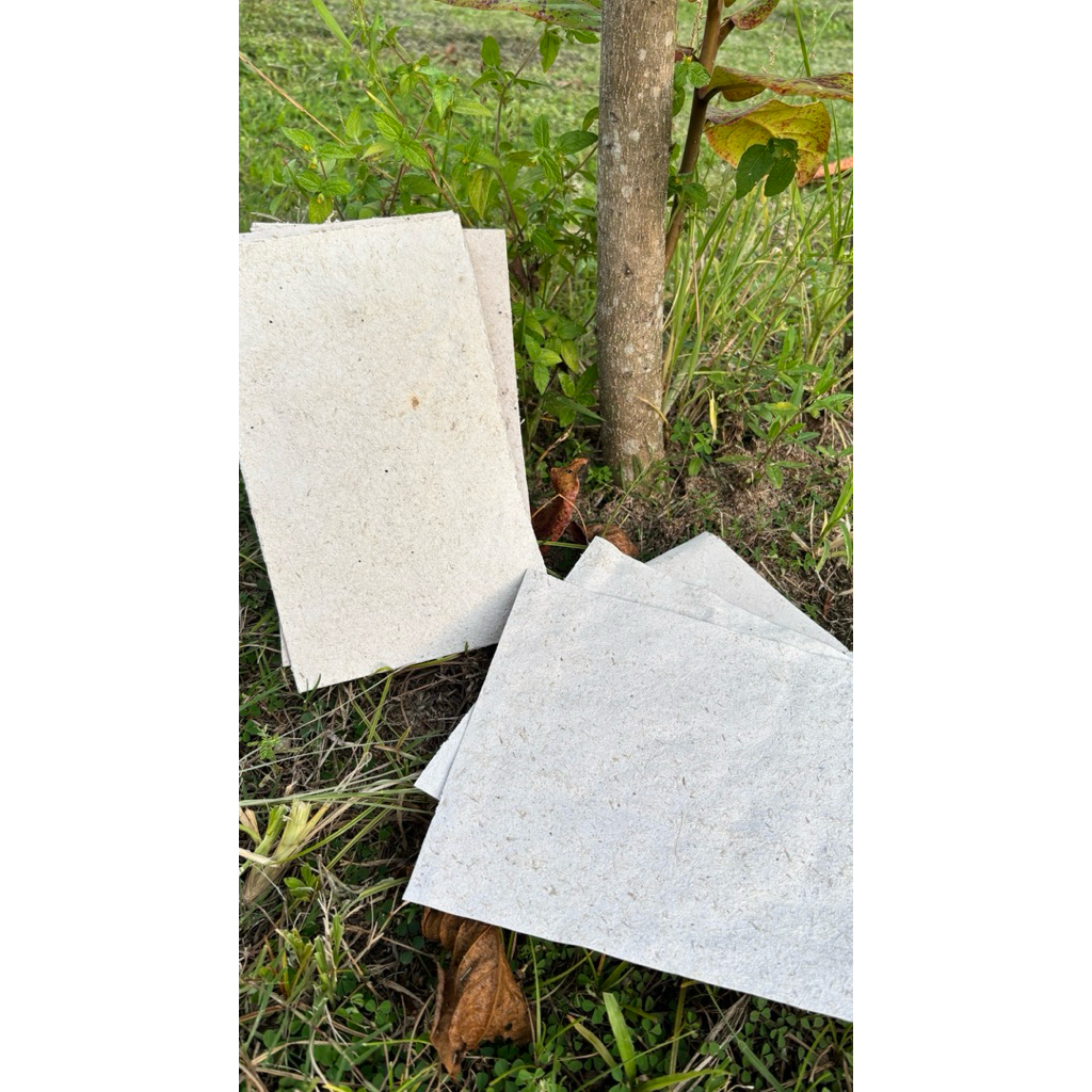 

kertas benih (Plantable Seed Paper) Kertas Daur Ulang - GROWVI - FREE STIKER - Ukuran A5