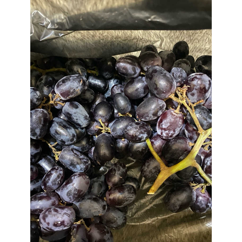 

buah anggur hitam non seedless fresh import 500g