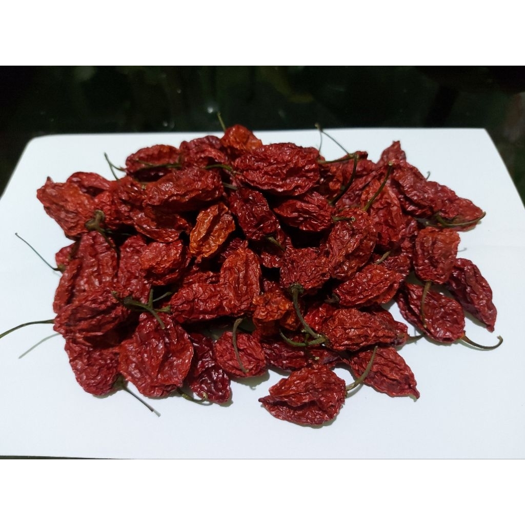 

Cabe Kering Bhut Jolokia Ghost Pepper Cabe Hantu isi 10 Gram