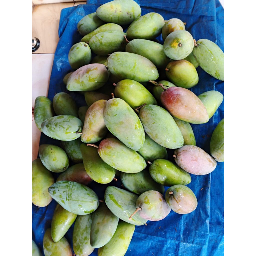 

MANGGA KIOJAY/THAILAND rujakan makanan fresh seger.