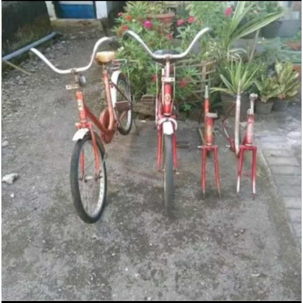 Rangka sepeda minion phoenix 20 inc