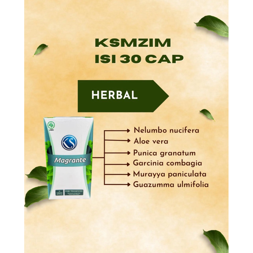KS MAGRANTE  - Pelangsing  Herbal Alami  Obat Diet BPOM Penurun Berat Badan