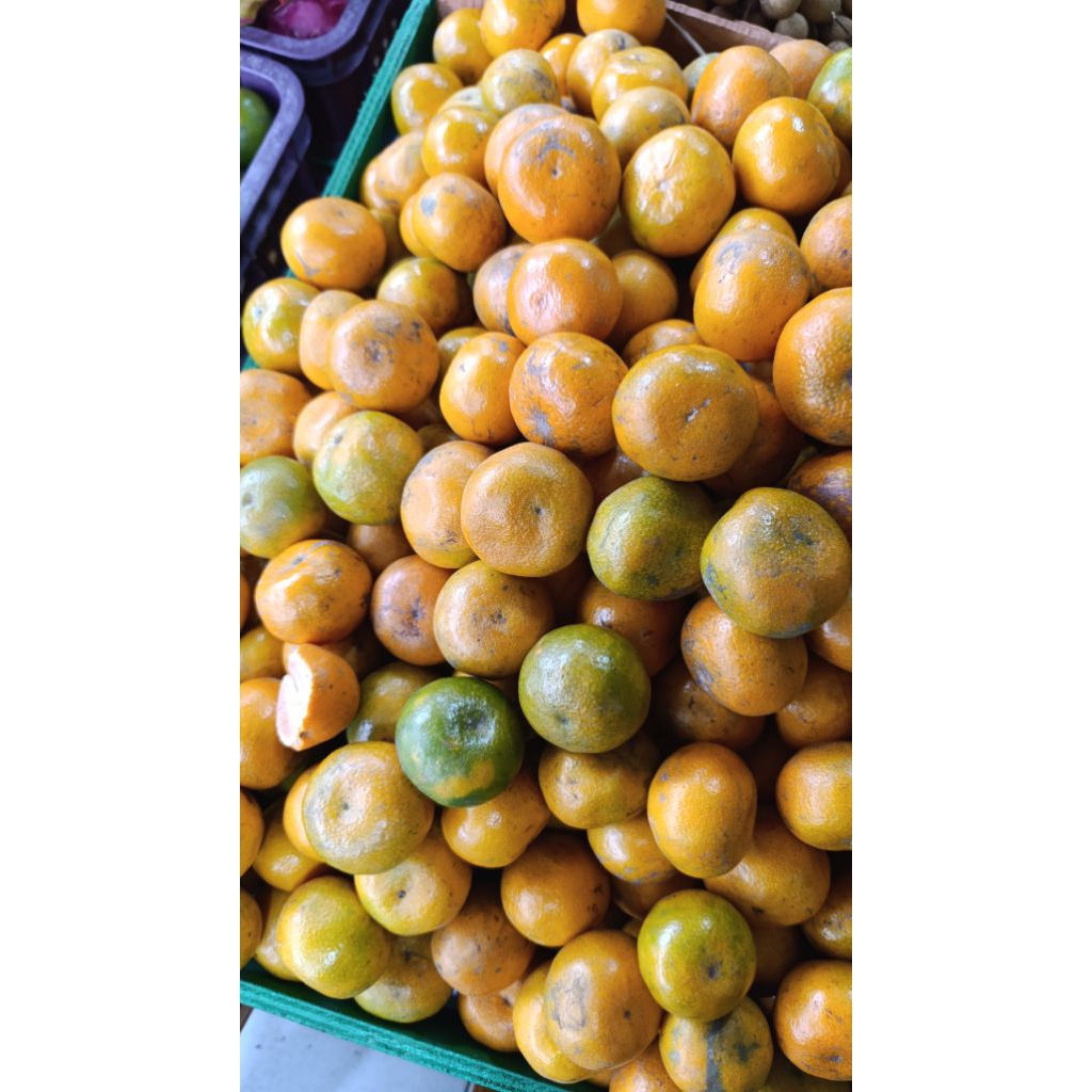 

kirim instant buah jeruk medan kecil 1kg