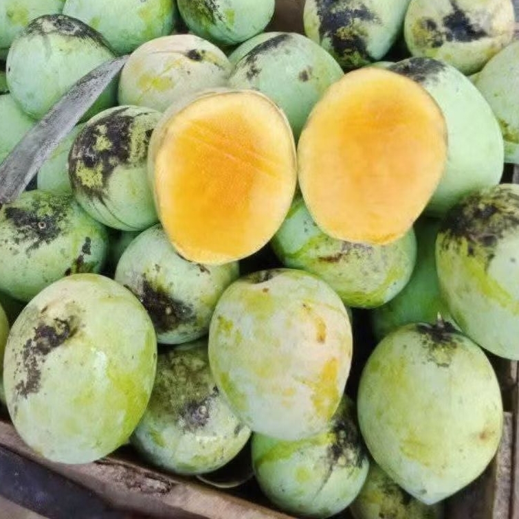 

MANGGA INDRAMAYU MENGKEL GARING 1kg
