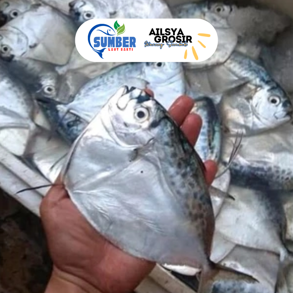 

[ SEGAR ] IKAN SEMAR / ANYI ANYI / BAGONG 1 KG