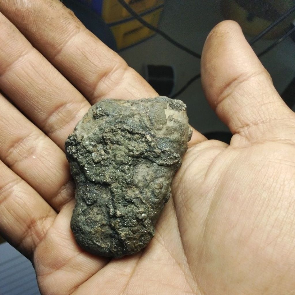 jolo sutro serat timbul