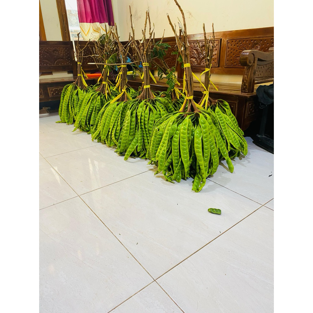 

PETE PENDEK ISI 10 PAPAN