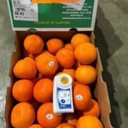 

Jeruk Ruby murcot super sweety jumbo biji sedikit -+9kg