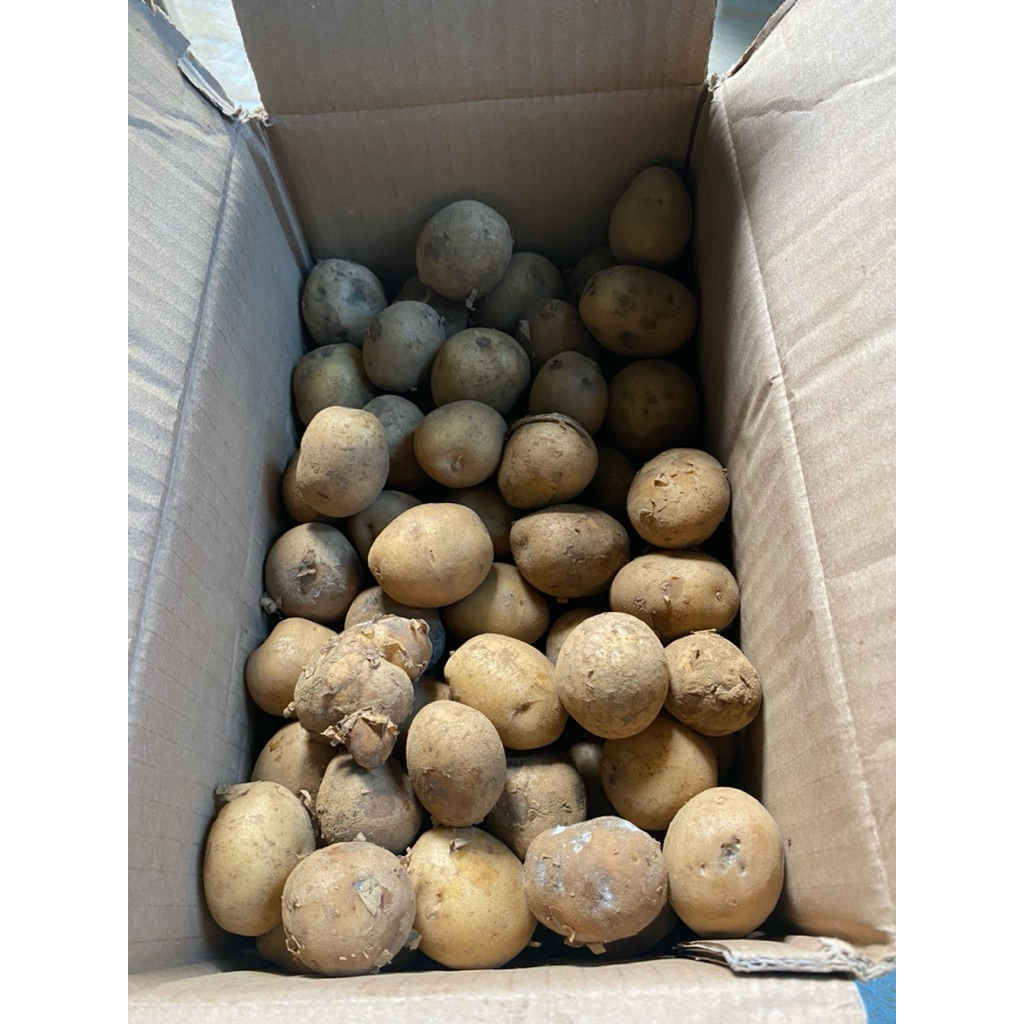 

kentang dn fresh 1kg