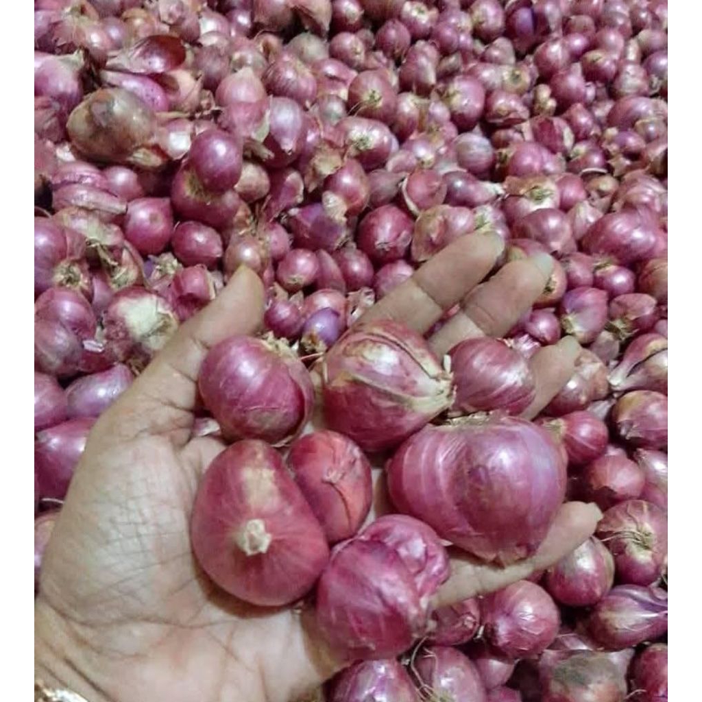

Bawang merah lokal SUPER