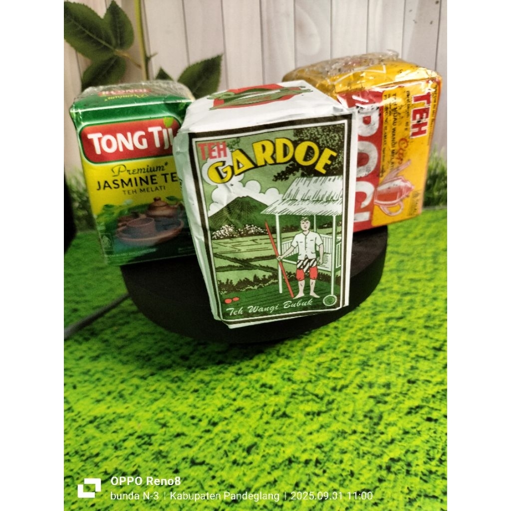 

teh poci. tongji. gardoe