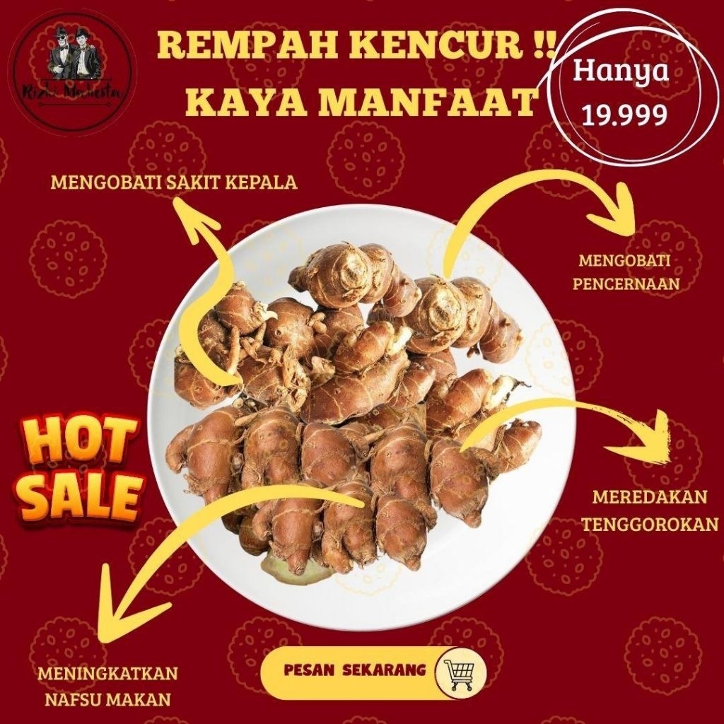 

KENCUR REMPAH 1KG FRESH SUDAH DICUCI