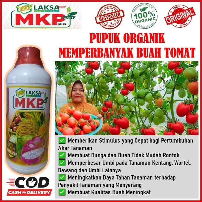 MKP Cair plus Laksa Grow pupuk organik pelebat buah tomat - pupuk MKP cair plus penyubur akar, batan